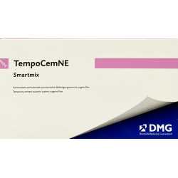 TempoCemNE Smartmix DMG 2 x 11g